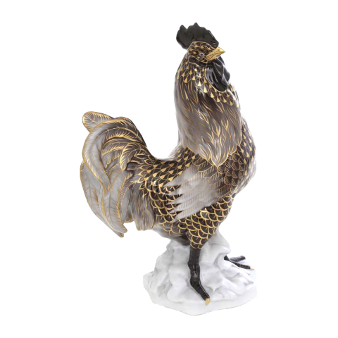 Rooster, standing